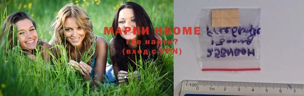 ГАЛЛЮЦИНОГЕННЫЕ ГРИБЫ Туринск