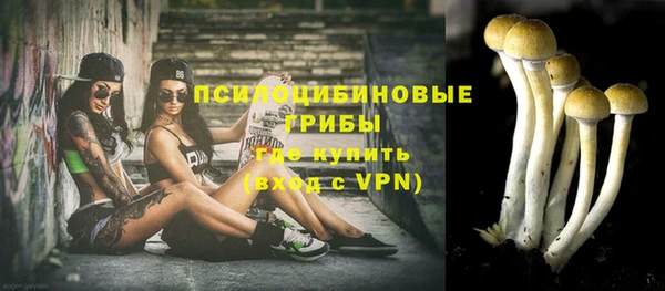 первитин Тихвин