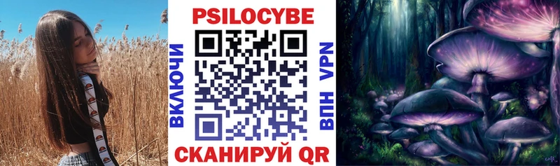 Псилоцибиновые грибы мицелий  Купить закладки  Стерлитамак 